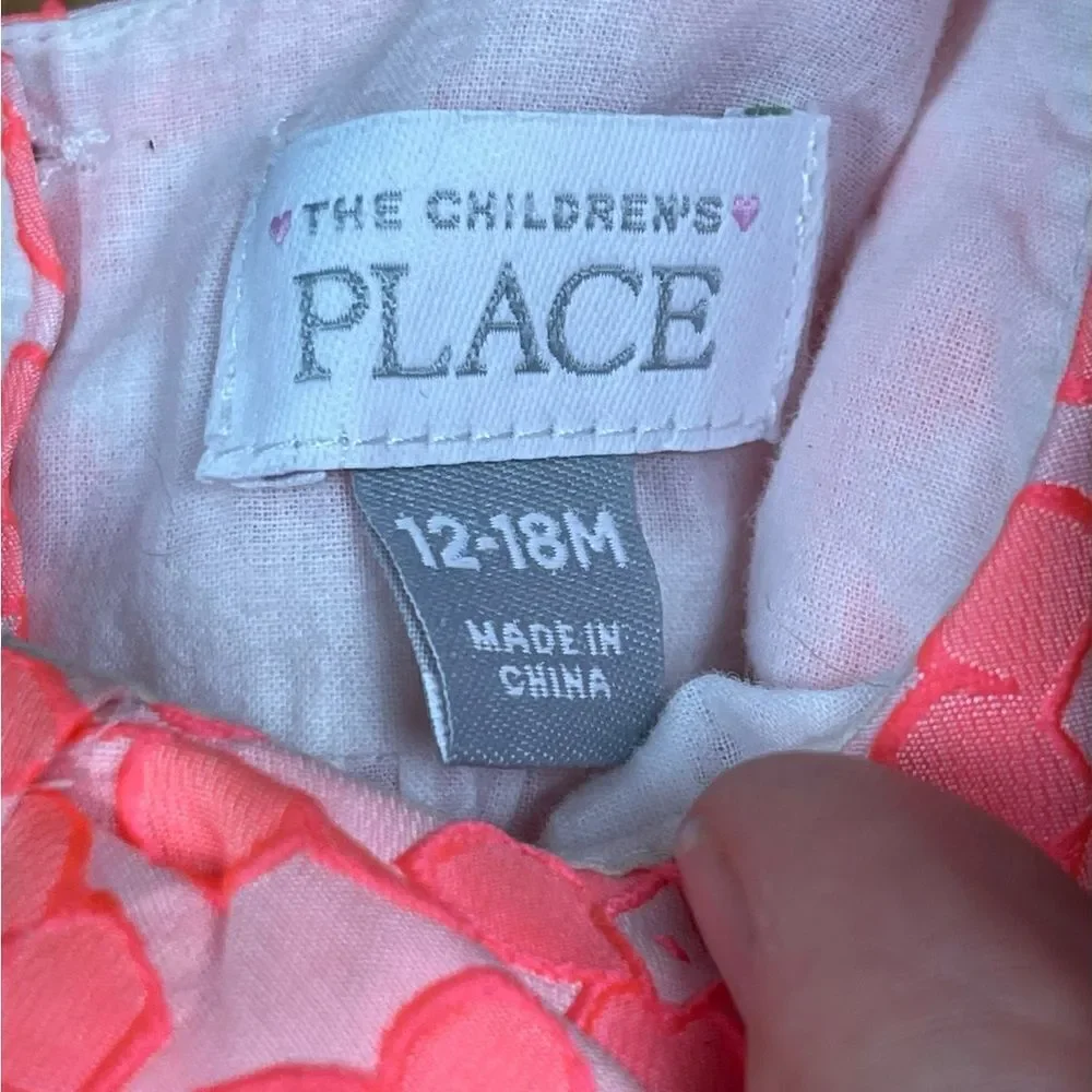 The Children's Place Baby Girl Pink Floral Dress Size 12-18 Months Lined Tulle